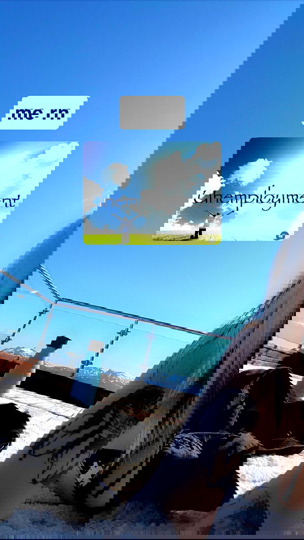 silkton image ~ Altpins