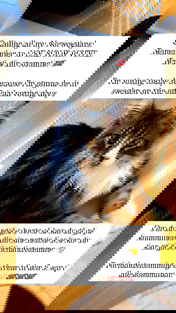 silkton image ~ Altpins