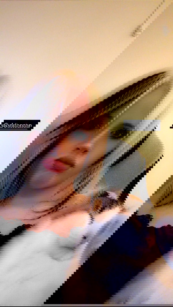 silkton image ~ Altpins