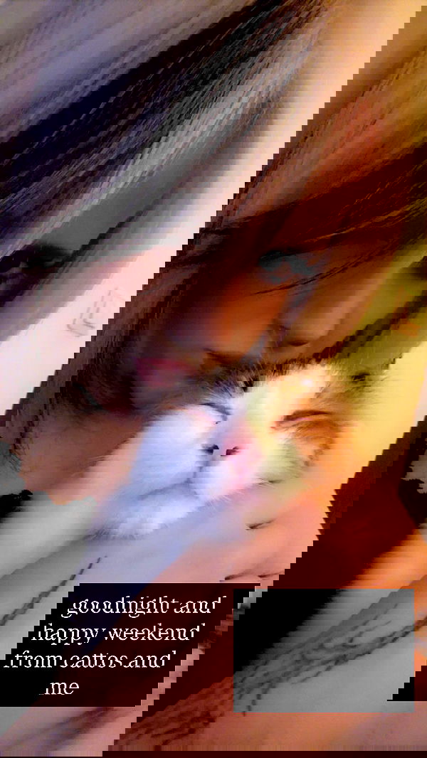 silkton image ~ Altpins