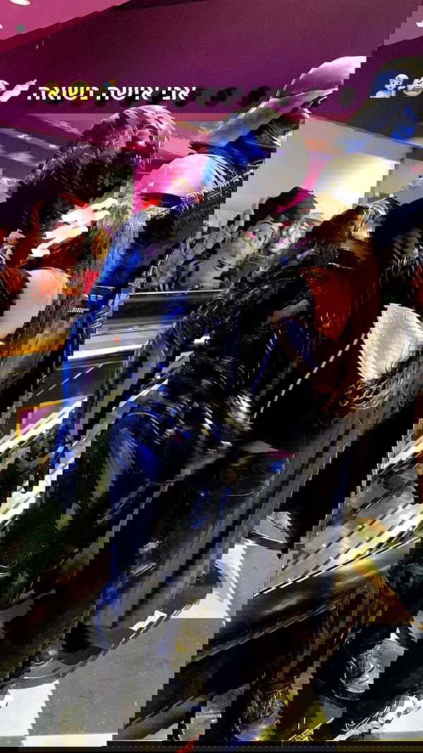 simp_for_cats_ simp_for_cats_ archive image