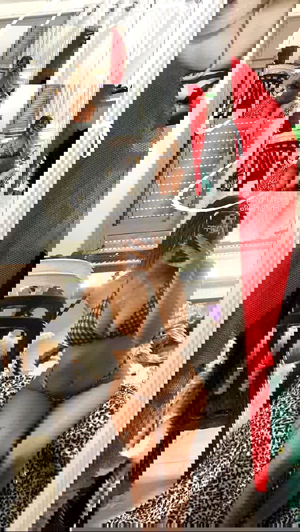 simp_for_cats_ simp_for_cats_ archive image