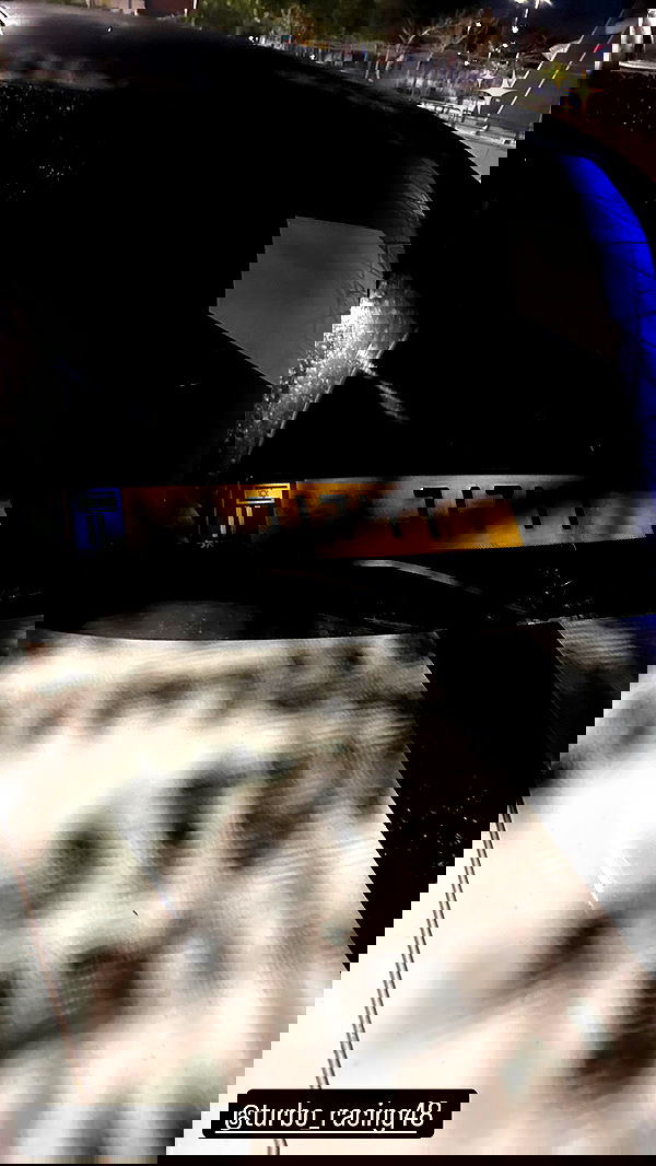 simp_for_cats_ simp_for_cats_ archive image