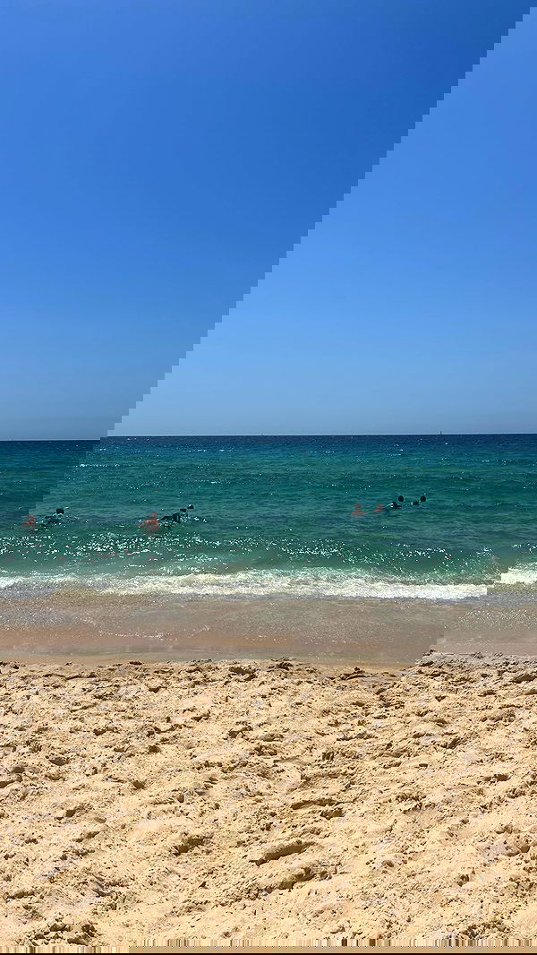 simp_for_cats_ simp_for_cats_ archive image