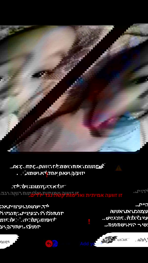 simp_for_cats_ simp_for_cats_ archive image