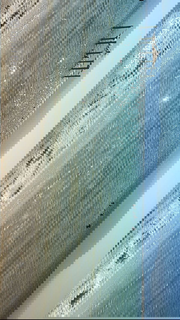 simp_for_cats_ simp_for_cats_ archive image