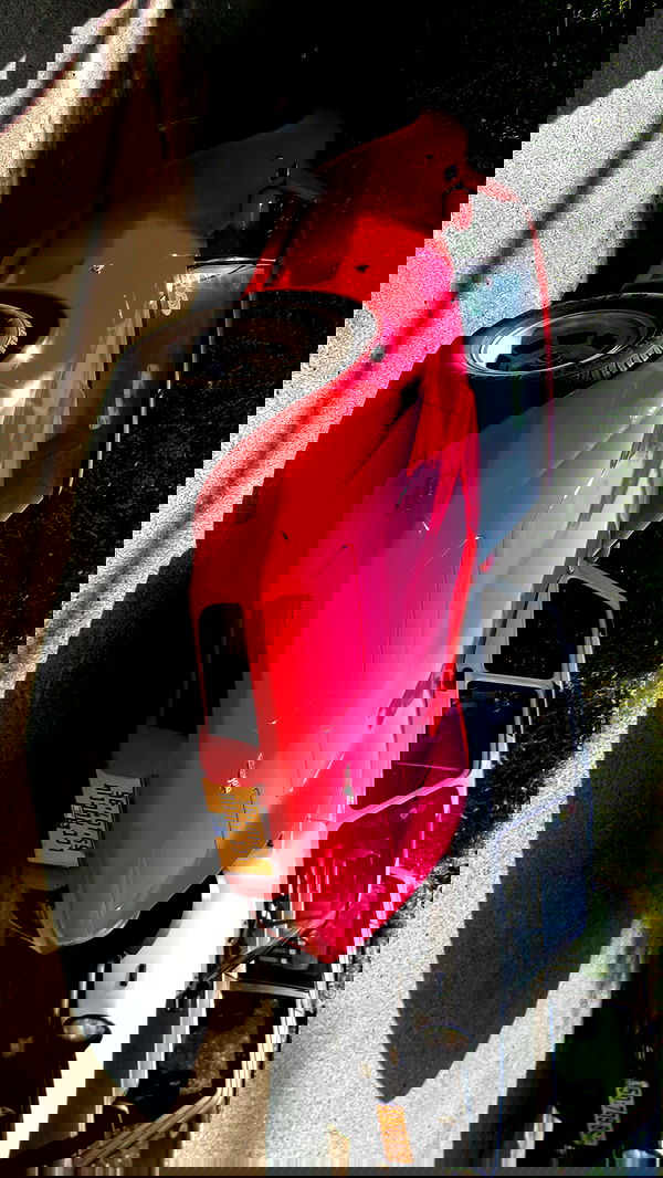 simp_for_cats_ simp_for_cats_ archive image