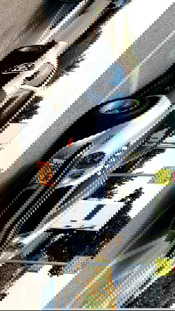 simp_for_cats_ simp_for_cats_ archive image