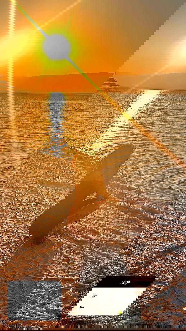 simp_for_cats_ simp_for_cats_ archive image