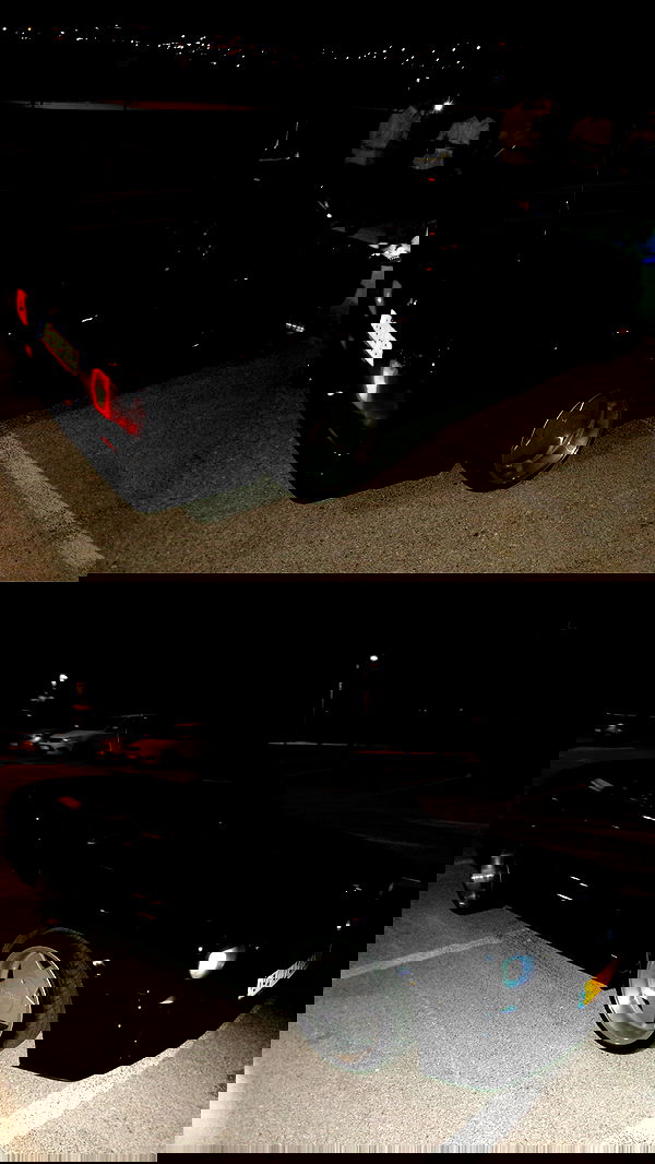 simp_for_cats_ simp_for_cats_ archive image