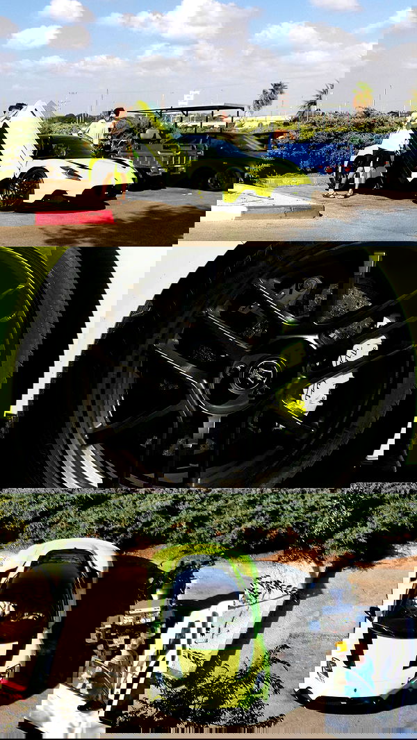 simp_for_cats_ simp_for_cats_ archive image