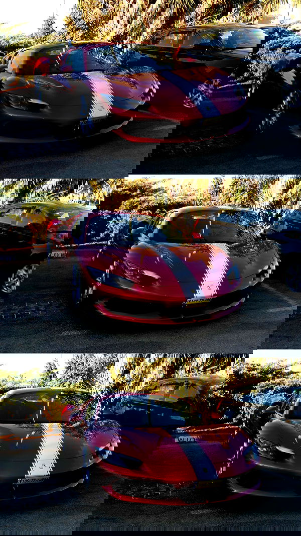 simp_for_cats_ simp_for_cats_ archive image