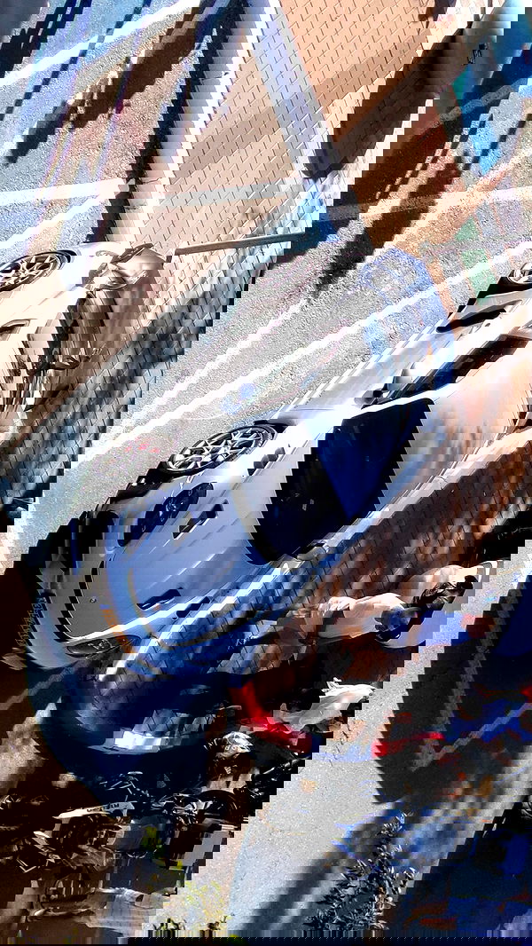 simp_for_cats_ simp_for_cats_ archive image