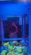 sivan_m22 Altpins Profile Picture