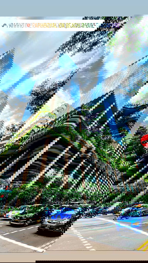 siyamore_ image ~ Altpins