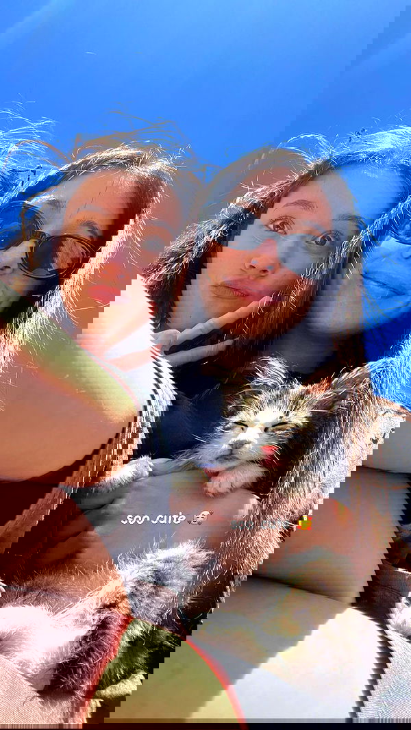 siyamore_ image ~ Altpins