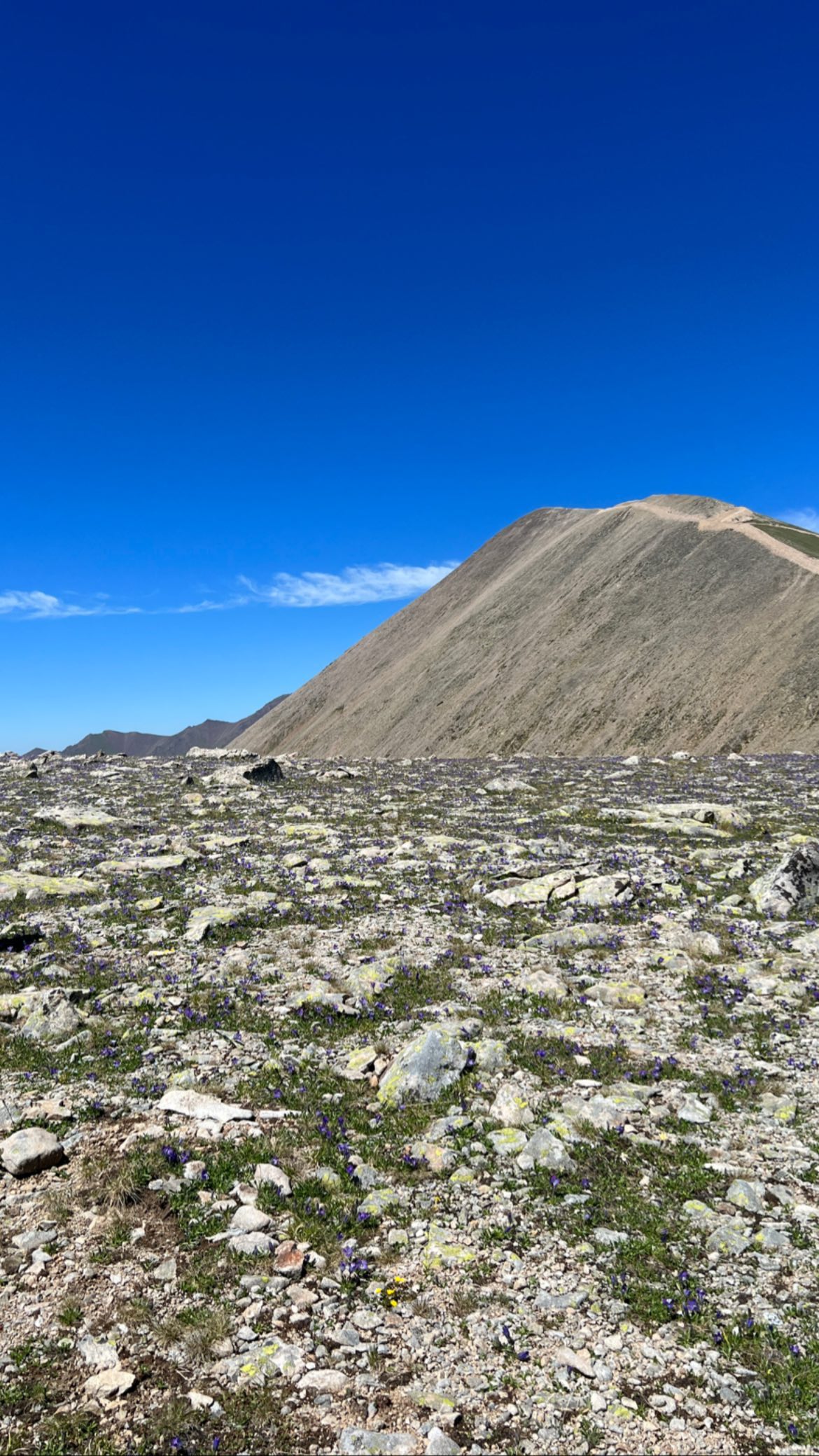 siyamore_ instagram image archive image