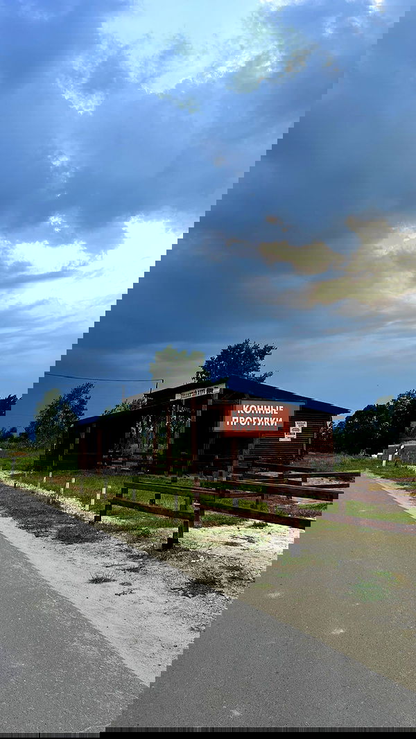 siyamore_ image ~ Altpins