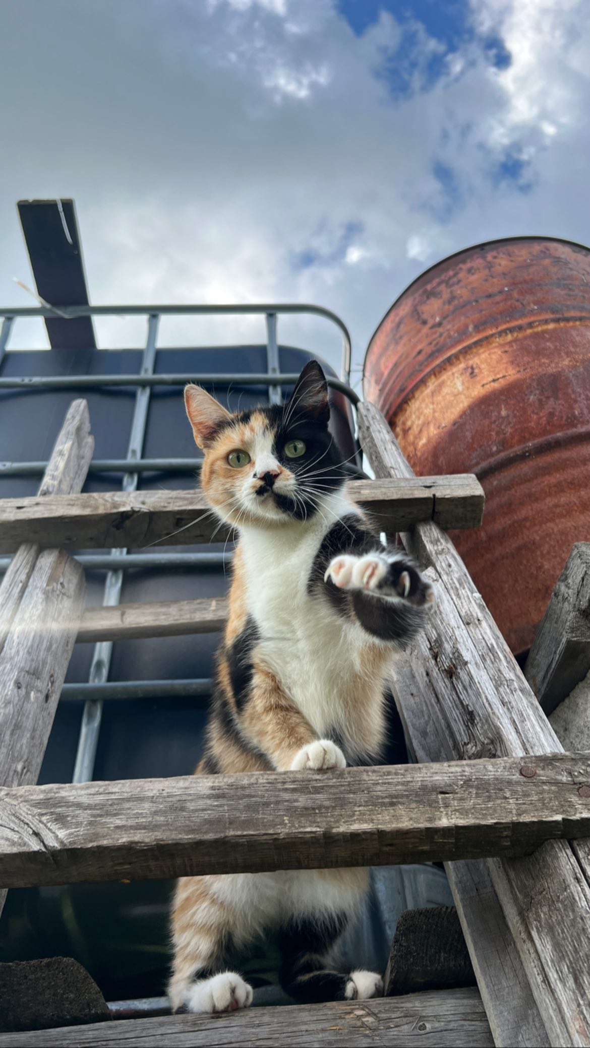 siyamore_ instagram image archive image