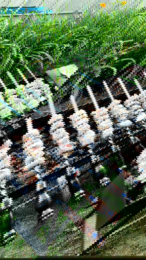 siyamore_ image ~ Altpins