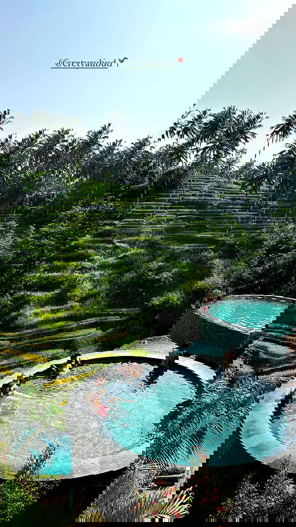 siyamore_ image ~ Altpins