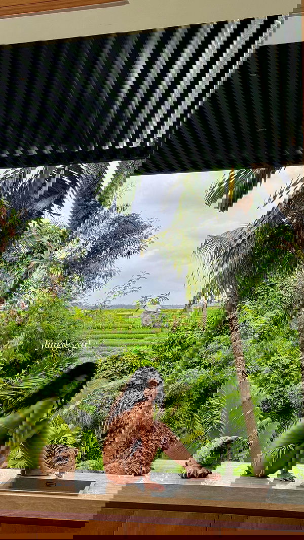 siyamore_ image ~ Altpins