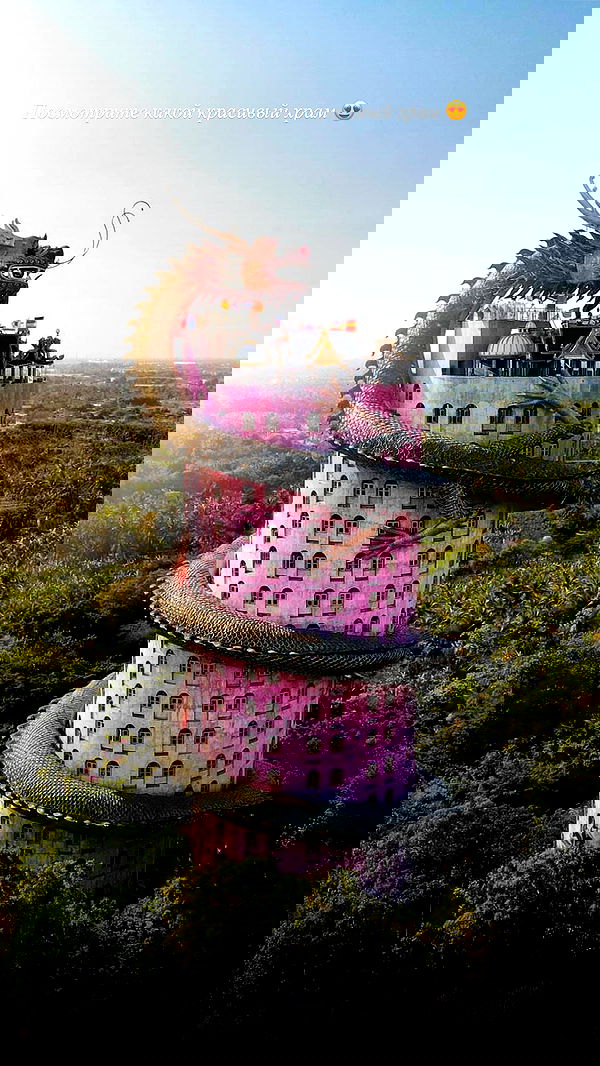 siyamore_ image ~ Altpins