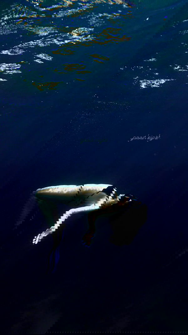 siyamore_ image ~ Altpins