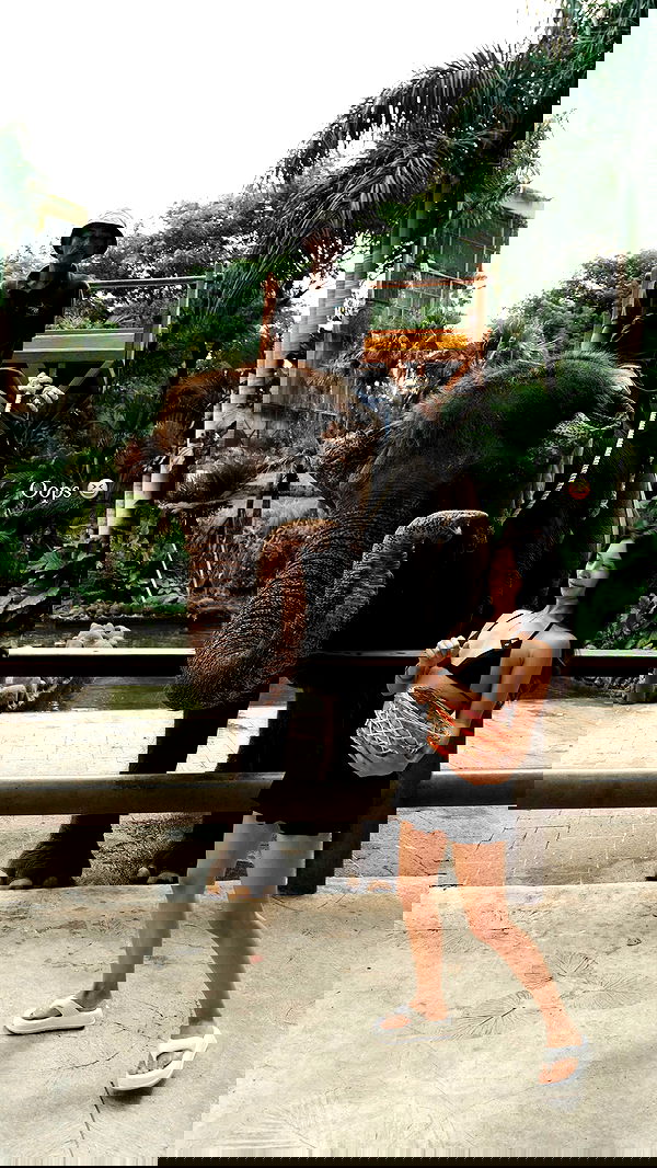 siyamore_ image ~ Altpins