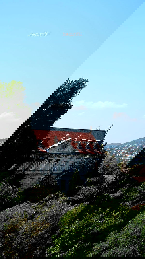 siyamore_ image ~ Altpins