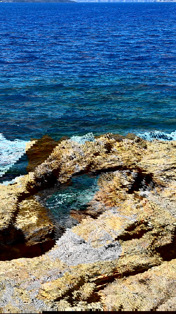 siyamore_ image ~ Altpins