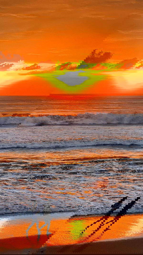 siyamore_ image ~ Altpins