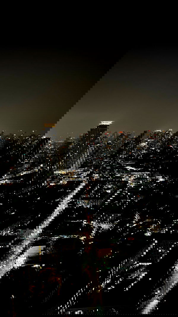 siyamore_ image ~ Altpins