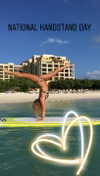 skydavisson_ Altpins Profile Picture