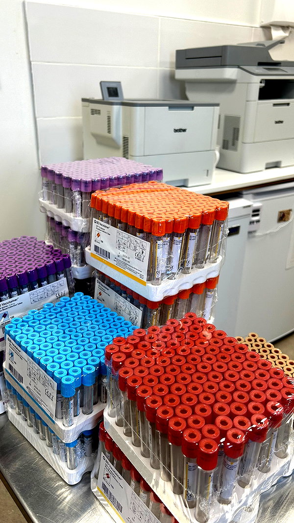 slythershelly instagram image archive image