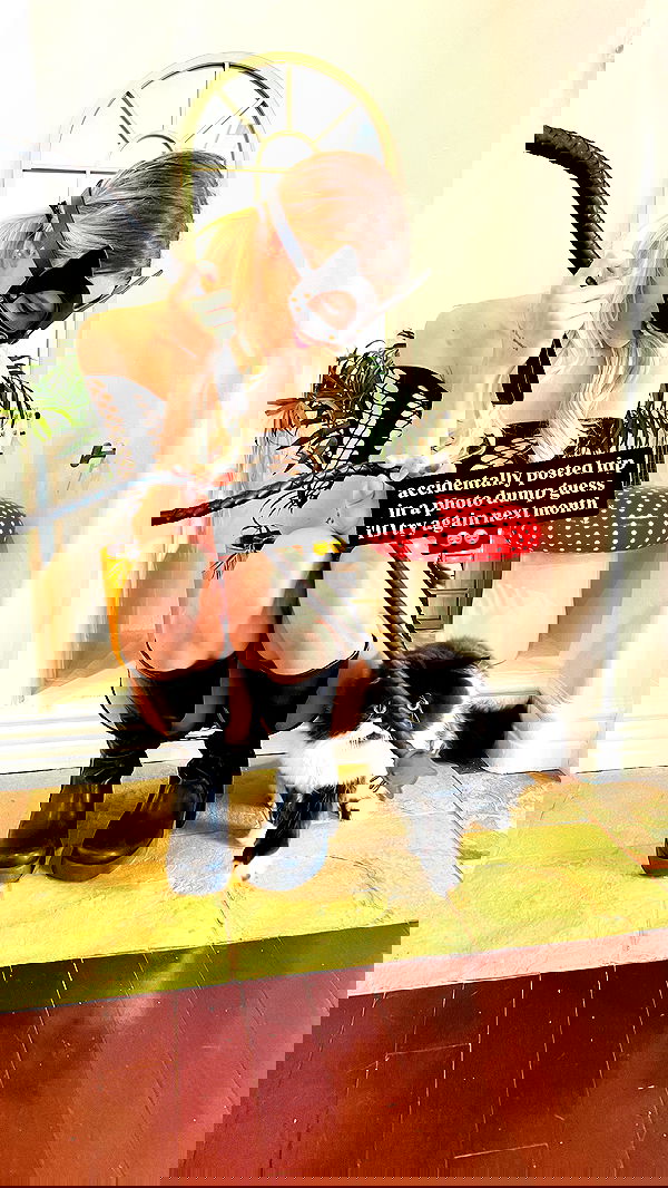 smashedely smashedely archive image