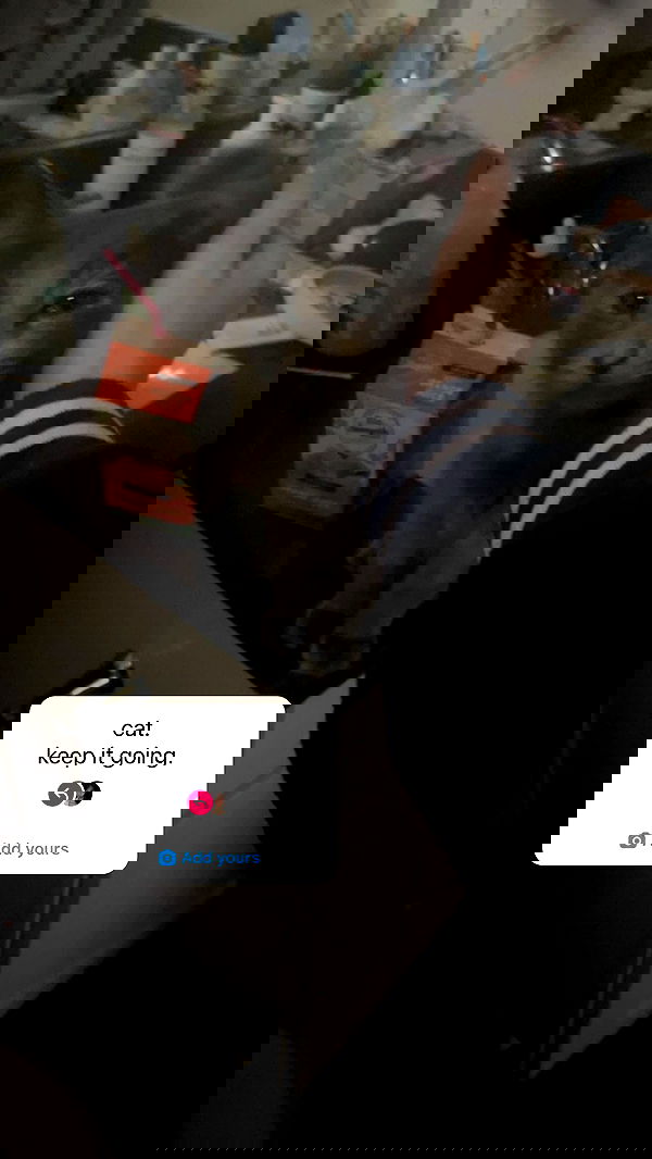 smeepsx smeepsx archive image