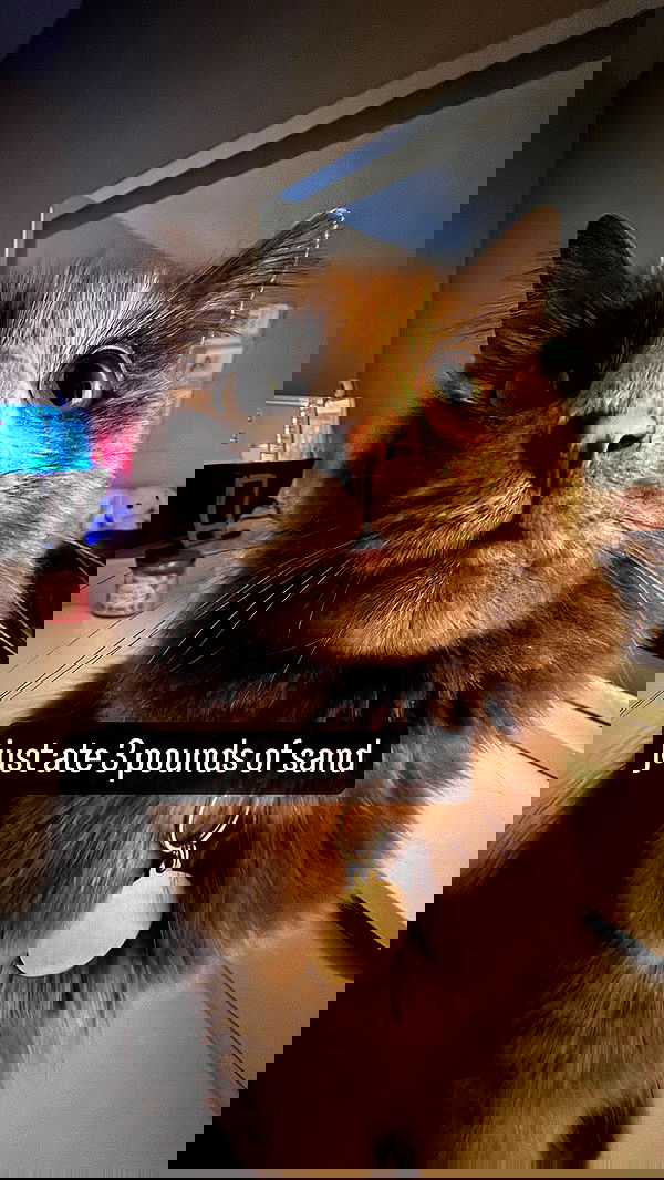 smeepsx smeepsx archive image