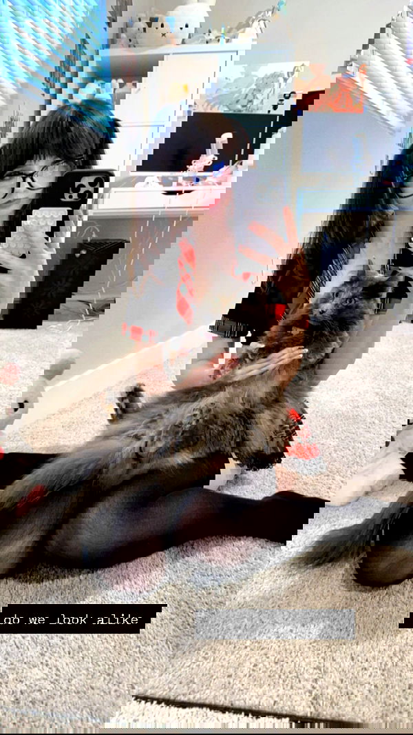 smeepsx smeepsx archive image