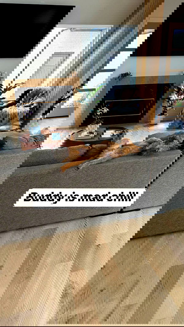 smillsap02 smillsap02 archive image