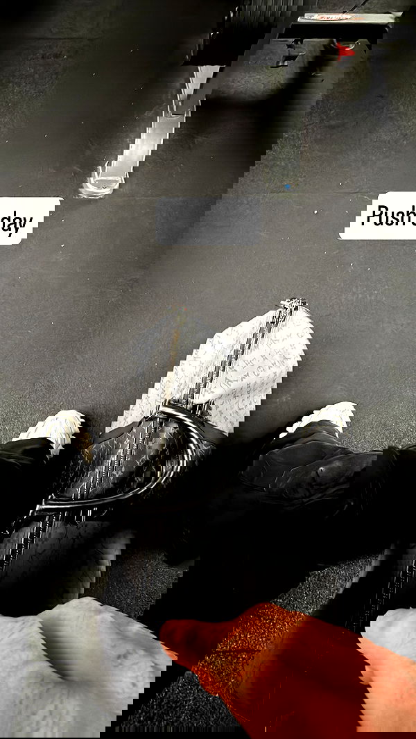 smillsap02 smillsap02 archive image