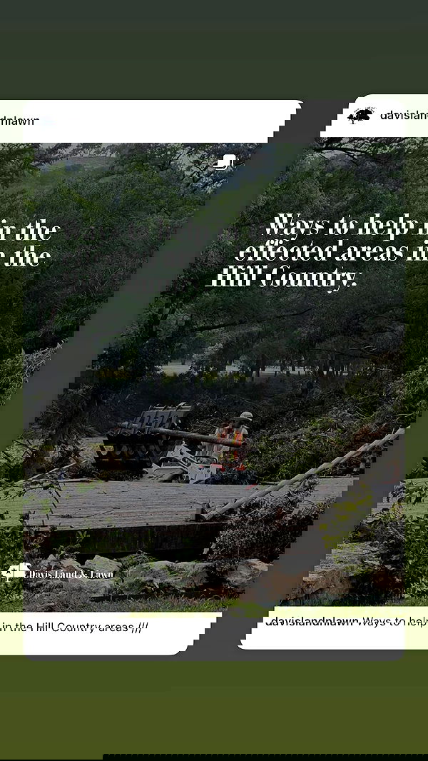 smillsap02 smillsap02 archive image