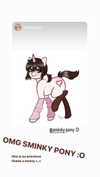 sminky Altpins Profile Picture