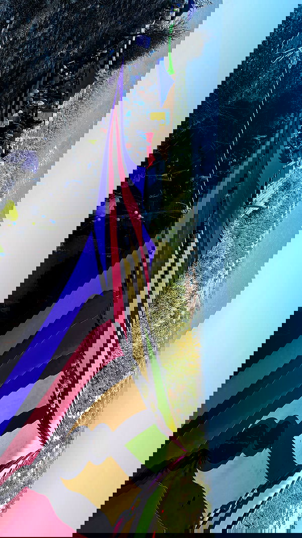 sofiabooshin sofiabooshin archive image