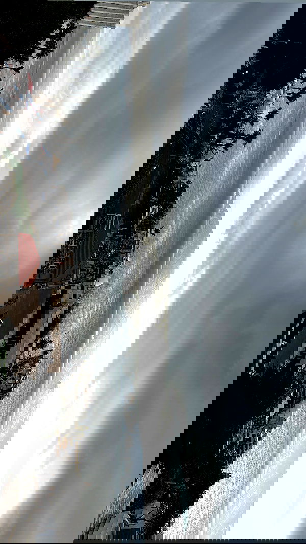 sofiabooshin sofiabooshin archive image