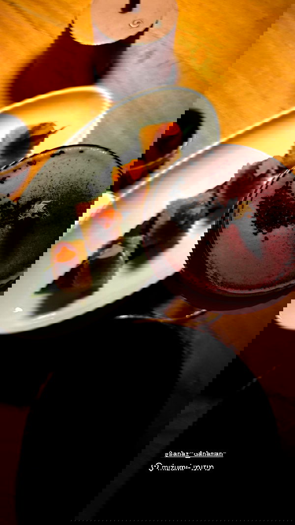 sofiabooshin sofiabooshin archive image