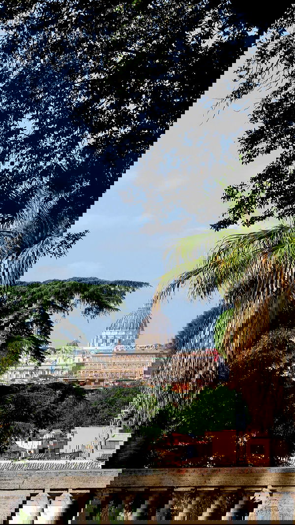 sofiagildin sofiagildin archive image