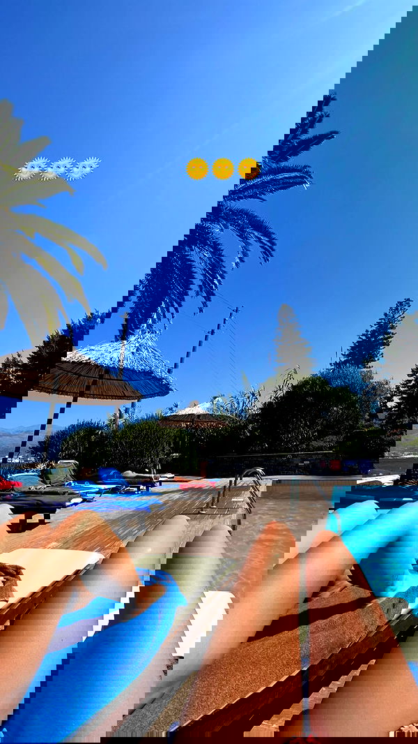 sofialevin__ sofialevin__ archive image