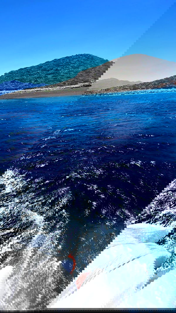 sofialevin__ sofialevin__ archive image