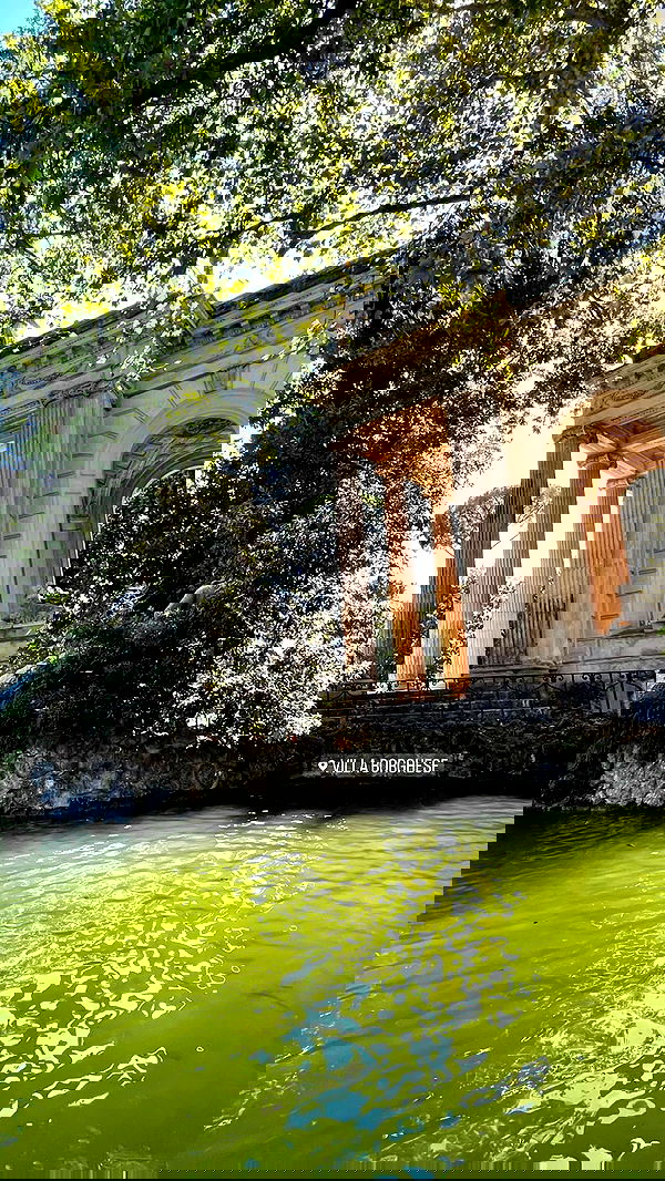 sofialevin__ sofialevin__ archive image